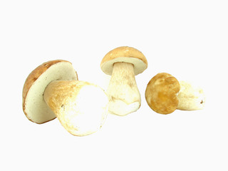 Ceps