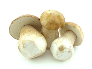 Mushrooms