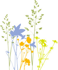 Four Field flowers, herbs and plants, traced, colors. Isolated