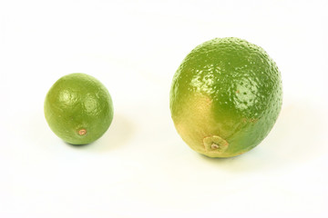 lime and limquat