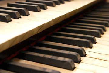 Orgel-Tasten
