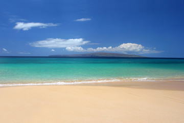 Immaculate tropical beach - 4581566