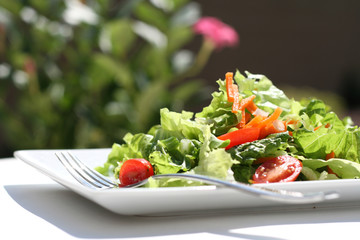 Garden Salad