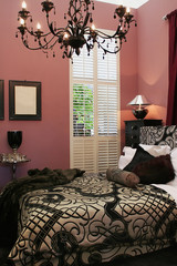 luxury interior of bed room