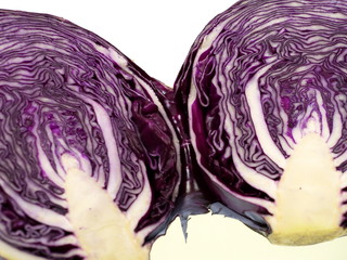 Fototapeta premium rotkohl