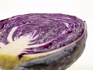 Fototapeta premium rotkohl