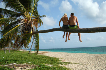 People on the palmtree