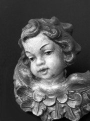 engel
