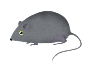 stylized mouse or rat illustraction