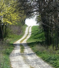 Obraz premium field road