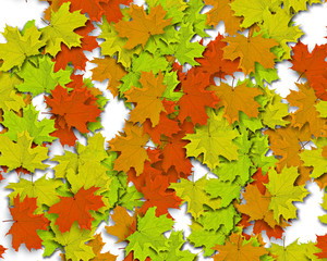 Autum Background