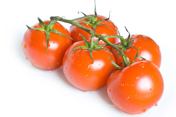 Tomatoes on the vine