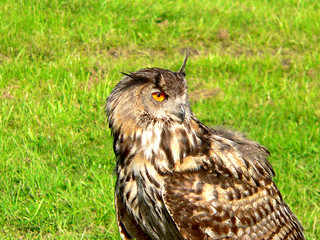 Blick zurück