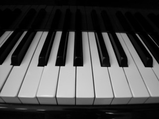 Piano Keys-Horizontal