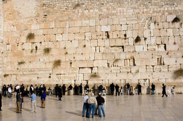 The religious orthodox Jews prays at the western wall.