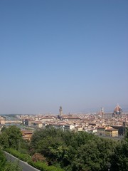 Fototapeta na wymiar Firenze - Panorama
