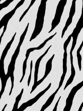 zebre