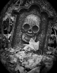 skull motif tombstone with leaf