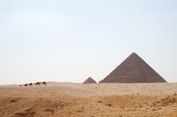 Fototapeta na wymiar Caravan near pyramid
