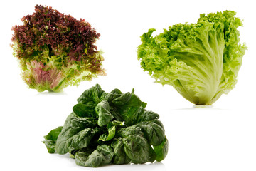 lettuce and spinach