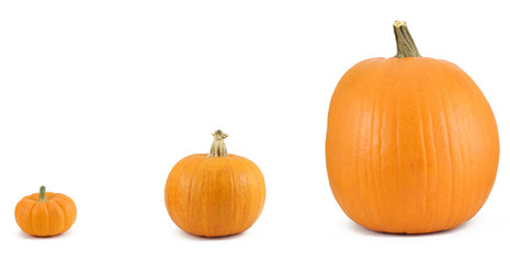 Pumpkins