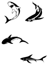 shark vector tatoo