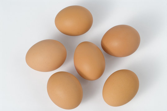 6 uova