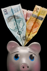 pig with money airplane