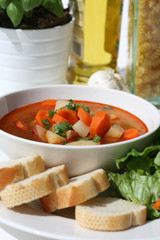 Healthy Vegetable Soup
