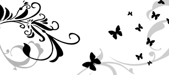 butterfly illustration