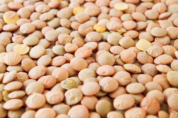 lentil seeds