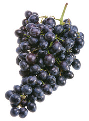 Blue grape