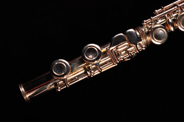 Obraz premium Transverse flute