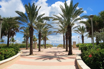 Tropical walkway to south beach