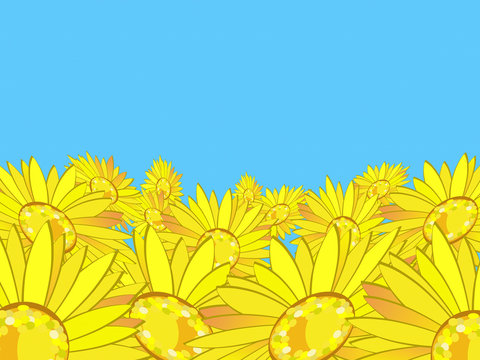 Sunflowers