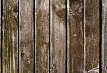 Texture of old wooden door