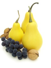 gourd