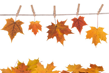 fall leaves hanging on a clothesline
