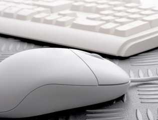 computer mouse
