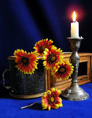 Flowers Gaillardia and burning candle