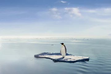 Cercles muraux Pingouin Le dernier empereur