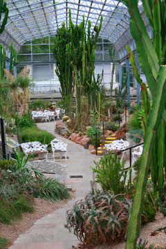 winter gardens