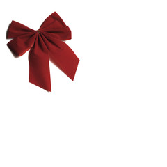 Gift Wrapped in Ribbon and Bow