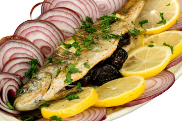 fish