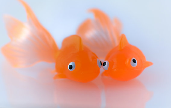 Goldfish Friends