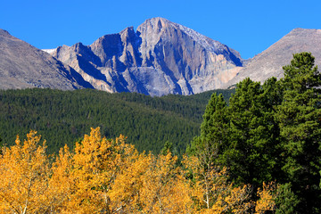 Autumn Aspens And Mountain Peaks