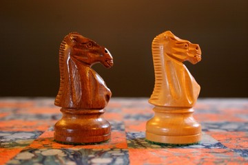 chess knights © Jenny Thompson