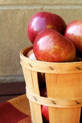 Apple Harvest