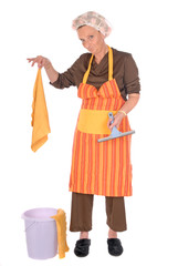 Cleaning housewife