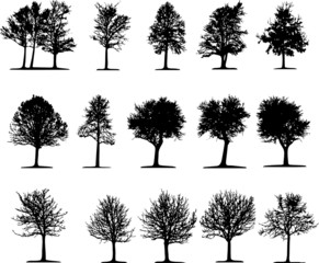 Trees (vector) - 4631150